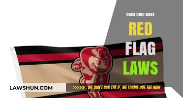 Ohio's Red Flag Laws: Understanding Gun Control Measures in the State