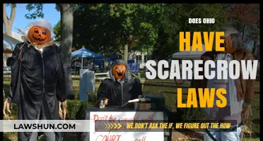 Ohio Scarecrow Laws: Understanding Regulations for Decorative Displays