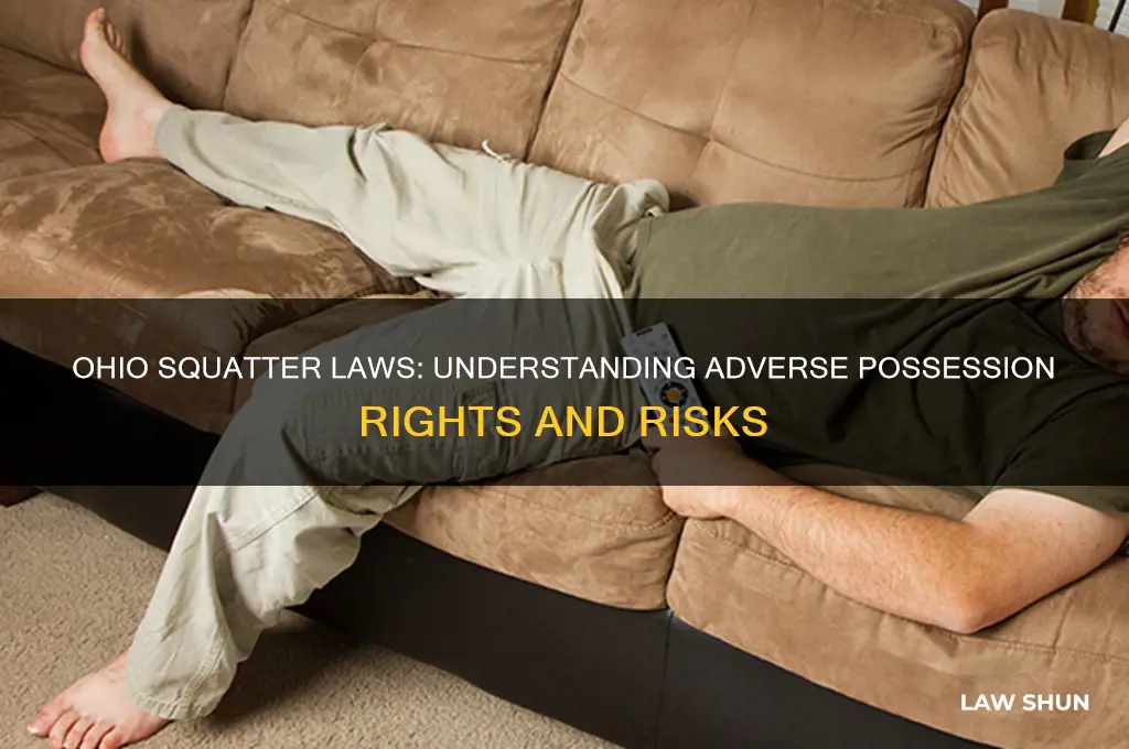 does ohio have squatter laws