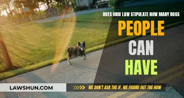 Ohio Dog Ownership Laws: How Many Dogs Are Too Many?