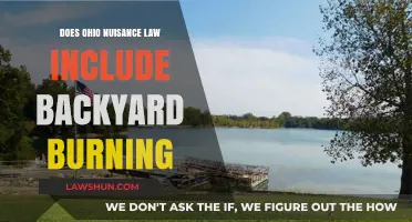 Ohio Nuisance Law: Does Backyard Burning Qualify as a Violation?