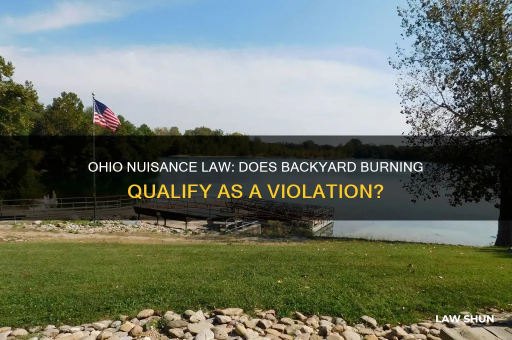 does ohio nuisance law include backyard burning