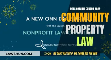 Community Property Law: Ontario's Unique Take on Marriage and Assets