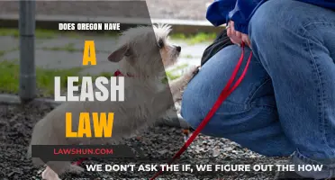 Exploring Oregon's Leash Laws: A Guide for Dog Owners