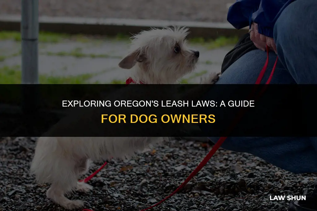 does oregon have a leash law