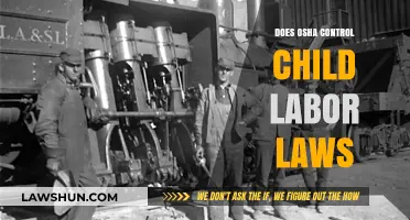 OSHA vs. Child Labor Laws: Understanding Regulatory Roles and Limits