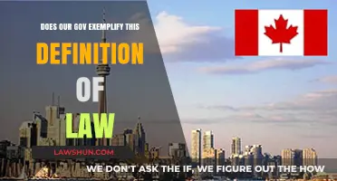 Does Our Government Truly Embody the Definition of Law?