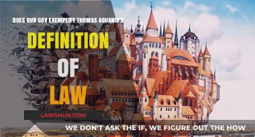 Does Modern Governance Align with Aquinas's Concept of Law?