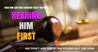 The Law: Guilty Until Proven Innocent?