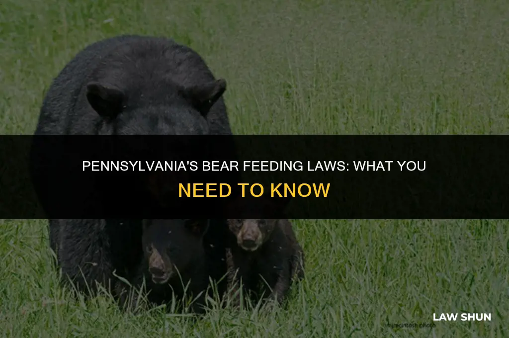does pa any bear feeding laws