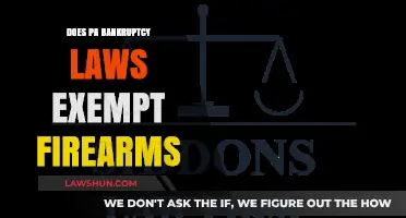 Pennsylvania Bankruptcy Laws: Do They Exempt Firearms?