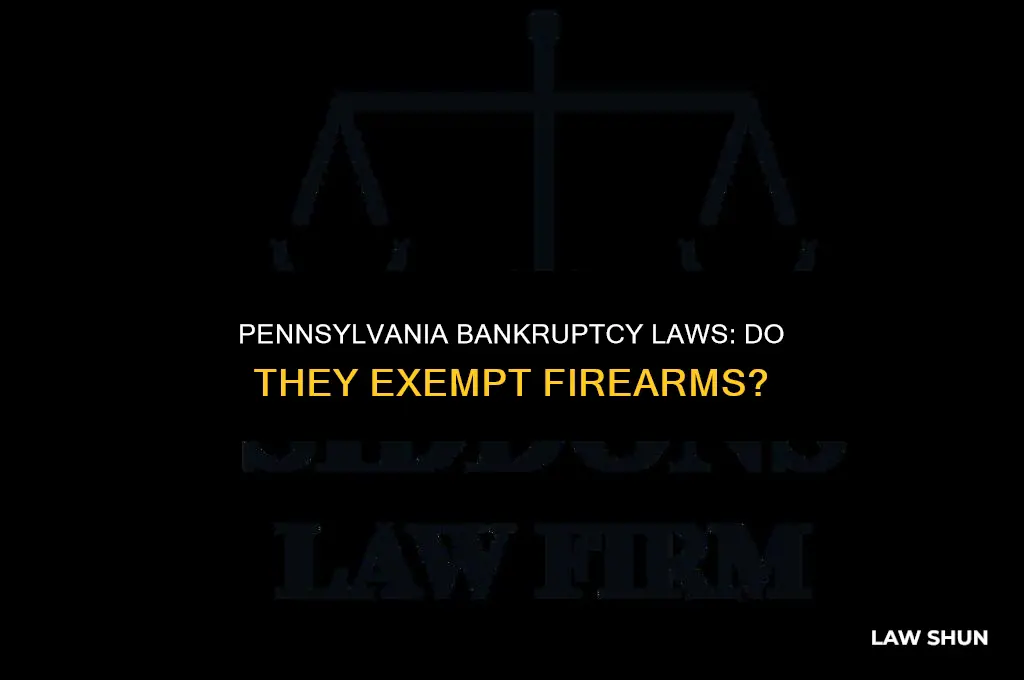 does pa bankruptcy laws exempt firearms