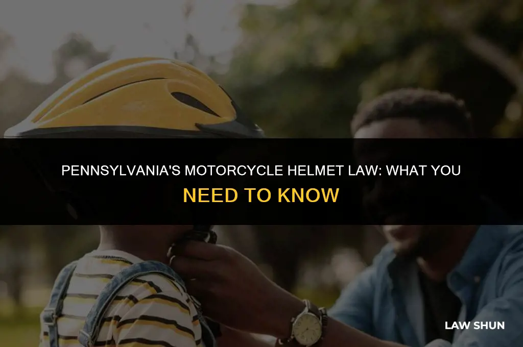 does pa have a helmet law