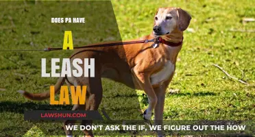 Understanding Pennsylvania's Leash Laws: A Comprehensive Guide for Pet Owners