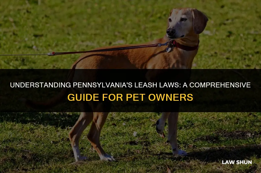 does pa have a leash law
