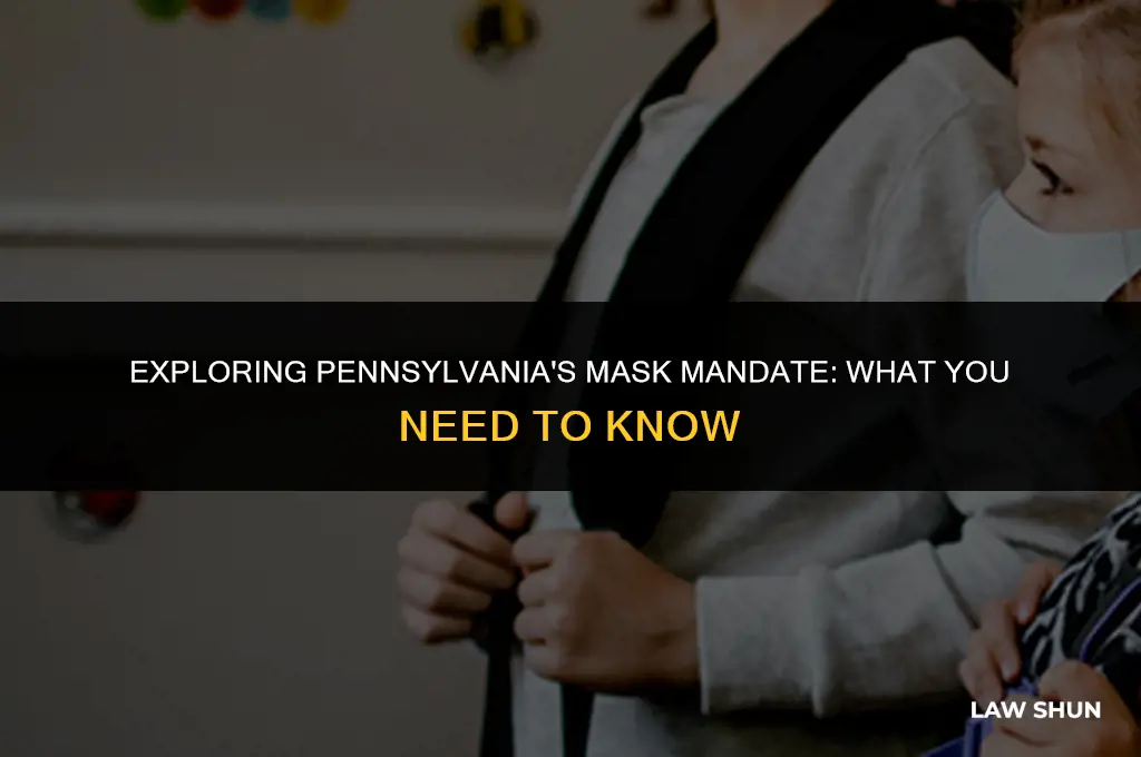 does pa have a mask law