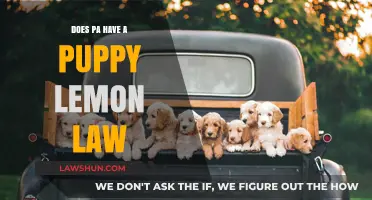 Does Pennsylvania Have a Puppy Lemon Law? What Buyers Should Know