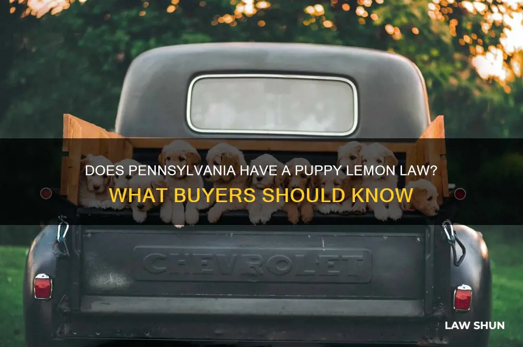 does pa have a puppy lemon law