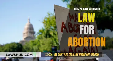 Pennsylvania Abortion Trigger Law: What You Need to Know