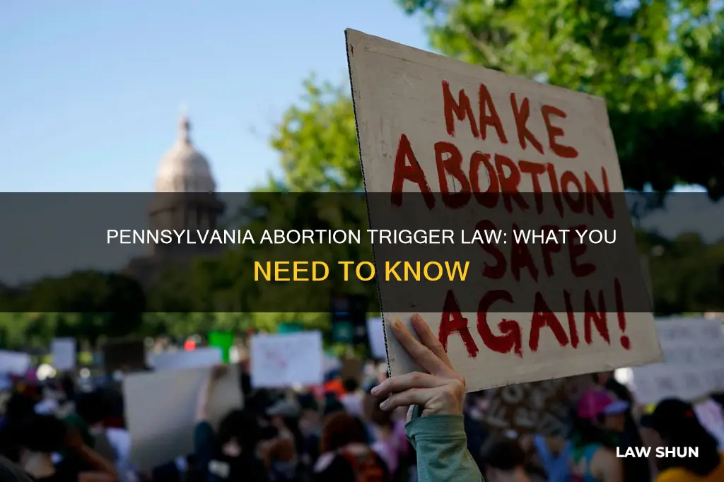 does pa have a trigger law for abortion