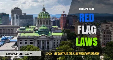 Exploring Pennsylvania's Stance on Red Flag Laws: A Comprehensive Overview