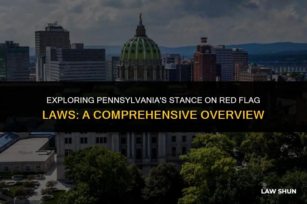 does pa have red flag laws