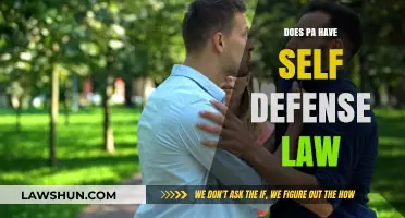 Understanding Pennsylvania's Self-Defense Laws: A Comprehensive Guide