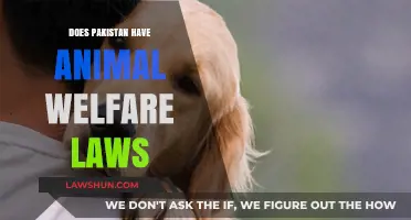 Exploring Pakistan's Legal Framework for Animal Welfare