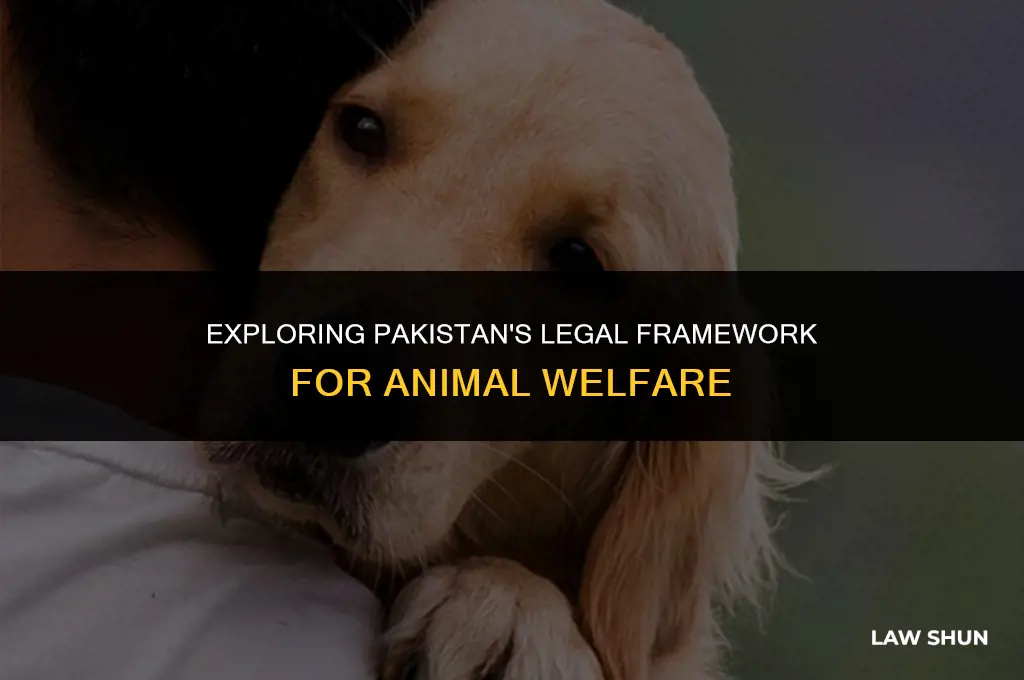 does pakistan have animal welfare laws