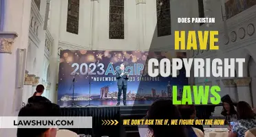 Understanding Pakistan's Copyright Laws: Protection, Enforcement, and Implications