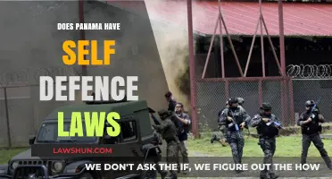 Understanding Panama's Self-Defense Laws: A Comprehensive Guide