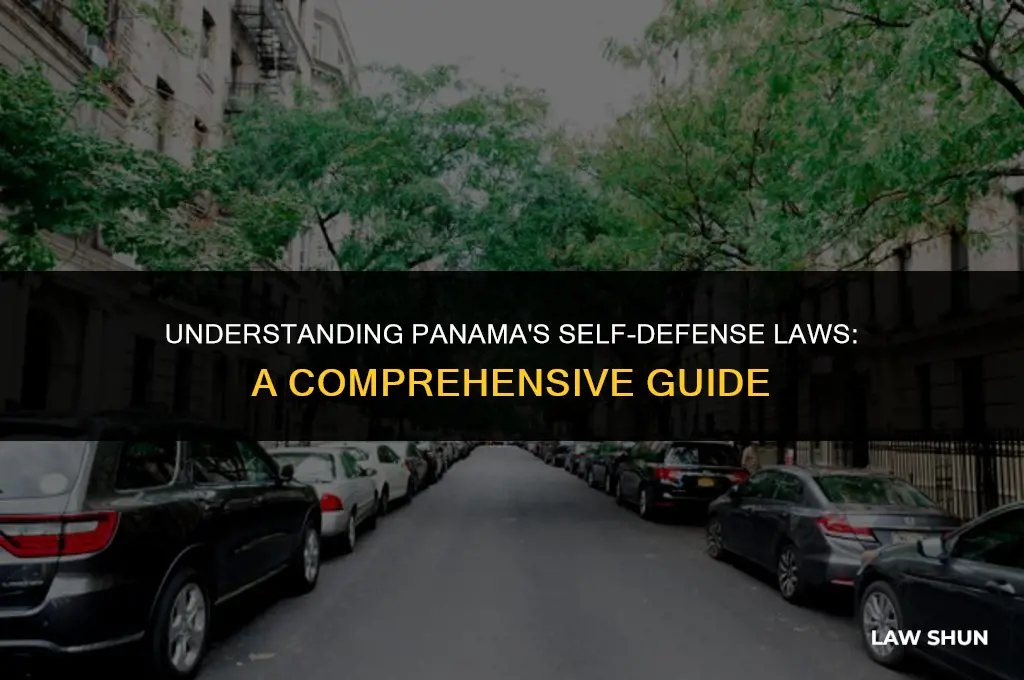 does panama have self defence laws