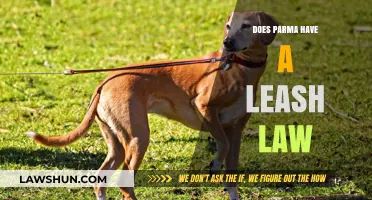 Exploring Parma's Pet Policies: Leash Laws and Beyond