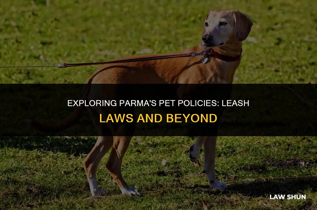 does parma have a leash law