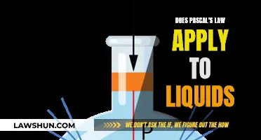 Pascal's Law: Understanding Its Applicability to Liquids