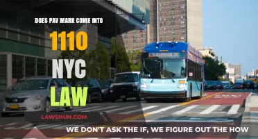 Does Pavement Marking Fall Under NYC Law 1110?