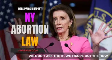 Pelosi's Stance on New York's Abortion Law