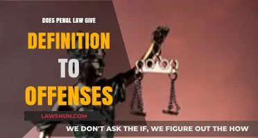 Does Penal Law Clearly Define Offenses? A Critical Analysis