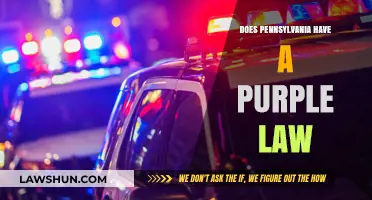 Exploring Pennsylvania's Legal Landscape: The Presence of Purple Laws
