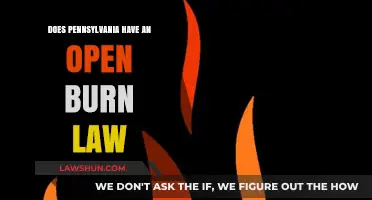 Pennsylvania's Open Burn Law: What Residents Need to Know
