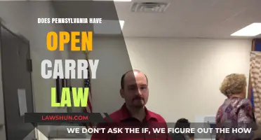 Pennsylvania's Open Carry Laws: What You Need to Know