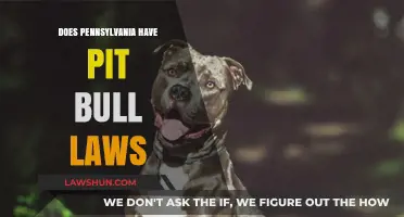 Understanding Pennsylvania's Pit Bull Laws: A Comprehensive Guide
