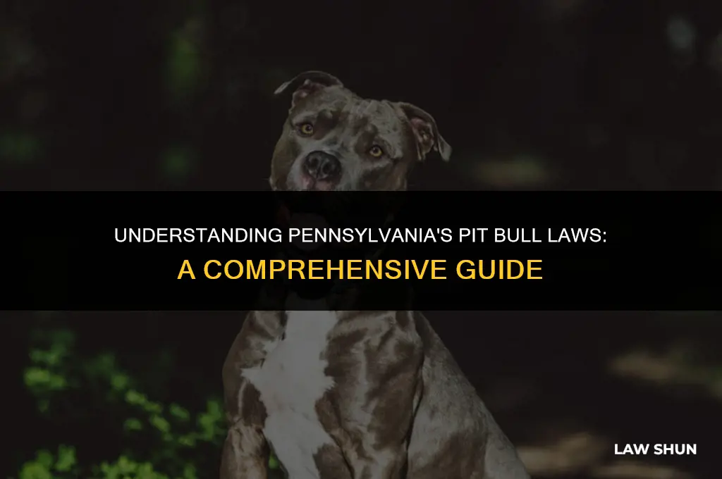 does pennsylvania have pit bull laws