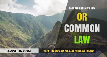 Civil or Common Law: Peru's Legal System Explained