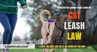 Pettis County Leash Law: What Pet Owners Need to Know
