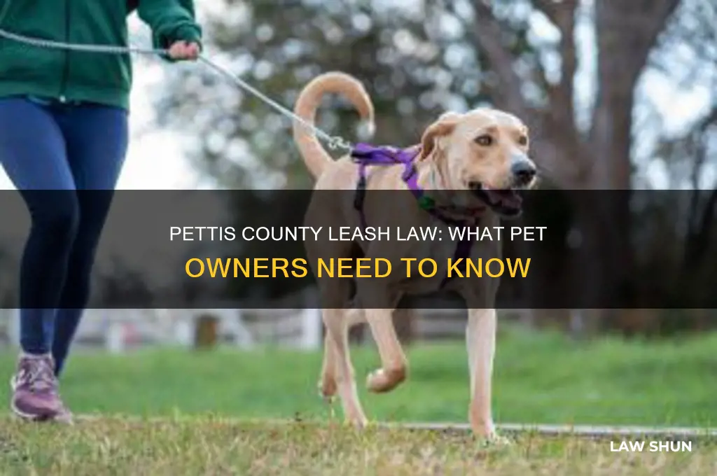 does pettis county have a dog or cat leash law