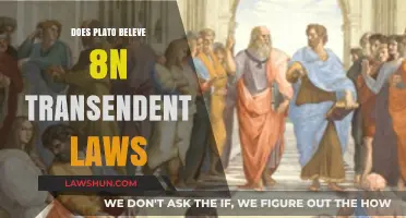 Exploring Plato's Belief in Transcendent Laws: A Philosophical Inquiry