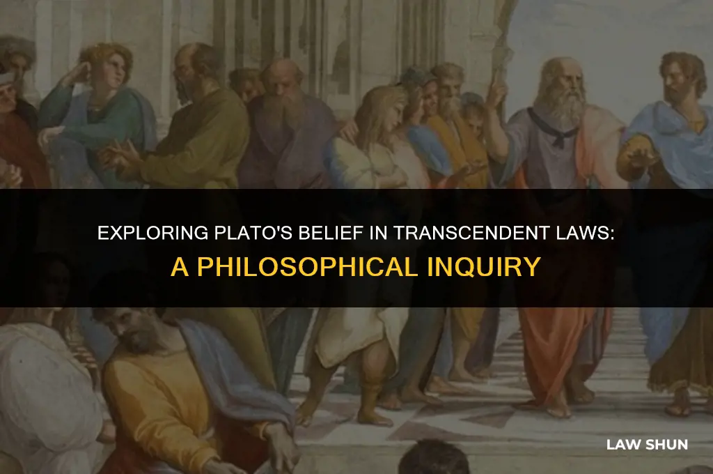does plato beleve 8n transendent laws