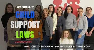 Poland's Child Support Laws: Understanding Parental Obligations and Legal Framework