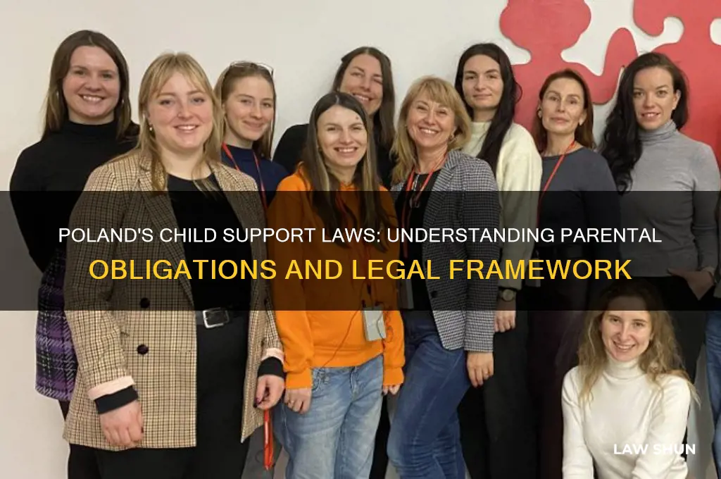 does poland have child support laws